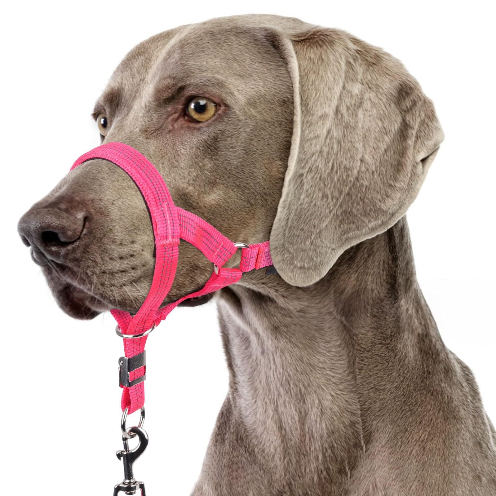 BARKLESS Sturdy No Pull Head Collar for Medium Large Dogs, Gentle Reflective Head Halter with Safety Link, Adjustable Nylon Dog Training Muzzle Leash for Walking Control (Hot Pink, XL) Hot Pink XL(Snout 10¼”-13”)