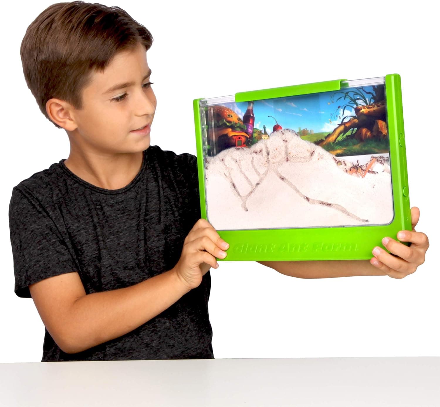 Thumbnail 2