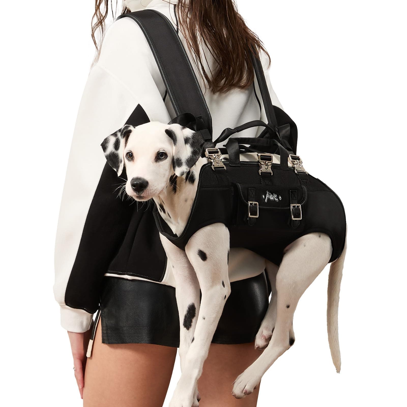 Dog Backpack Carrier-s Small