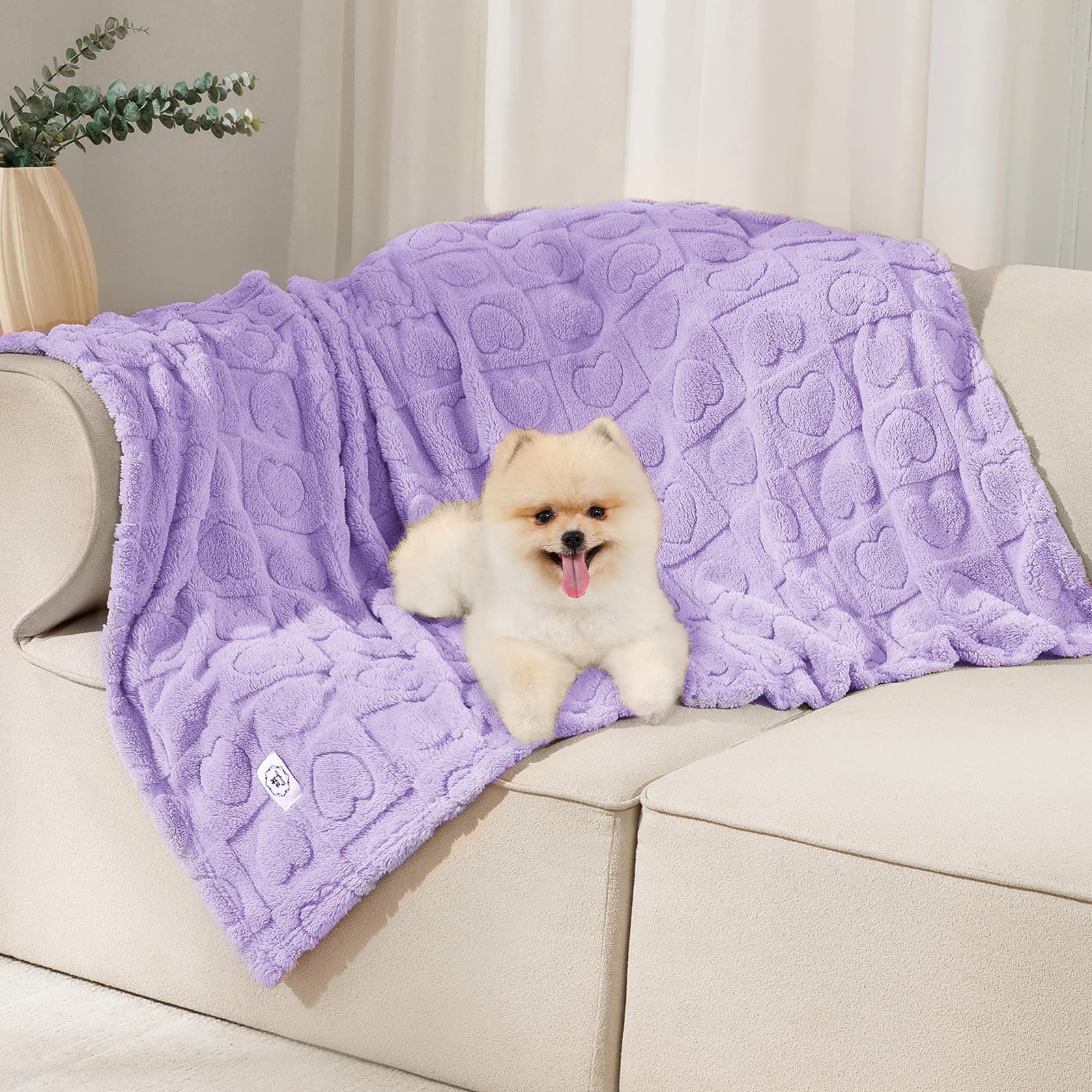Luciphia Small Dog Blanket Washable Pet Bed Cover Soft Fluffy Puppy Blanket with Premium Fleece 300GSM Cozy Calming Cat Blankets for Indoor Cats Light Purple 57x40 inch 57x40 inch Light Purple