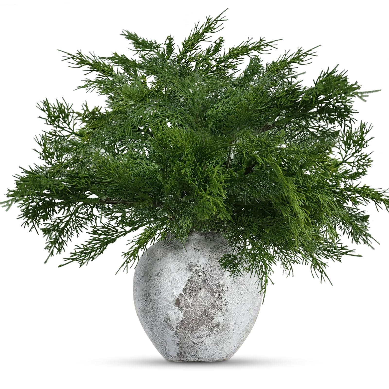 12 Pcs Christmas Norfolk Pine Branches,17 Inches Real Touch Norfolk Pine Stems,Faux Cedar Branches for Christmas Indoor Outdoor Home Decor 12pcs-green