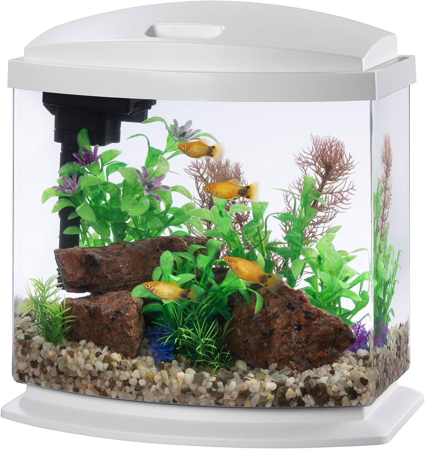 Aqueon LED MiniBow Aquarium Kit with SmartClean Technology, White, 2.5 Gallon 2.5 Gallon White
