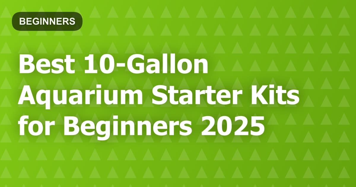 Best 10-Gallon Aquarium Starter Kits for Beginners 2025