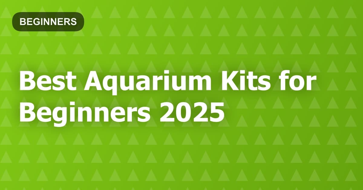 Best Aquarium Kits for Beginners 2025