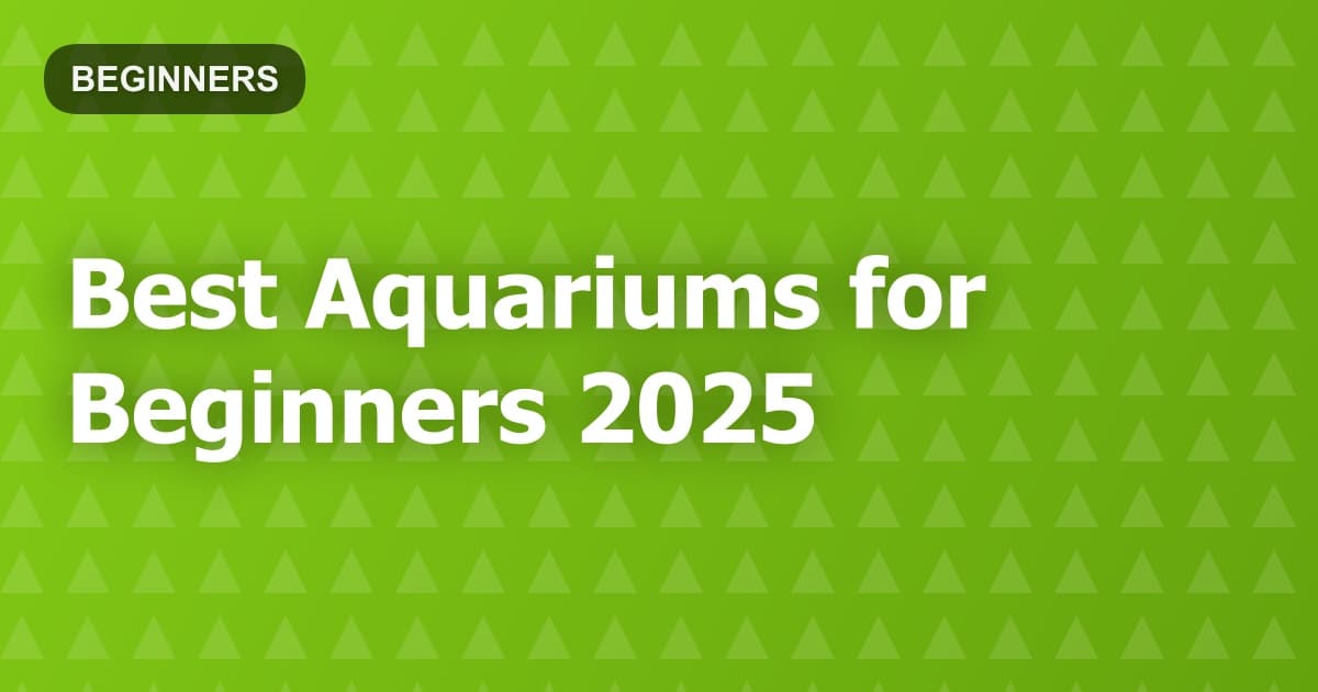 Best Aquariums for Beginners 2025