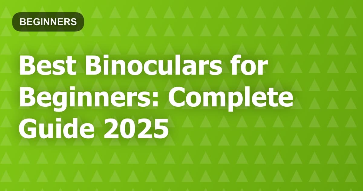 Best Binoculars for Beginners: Complete Guide 2025