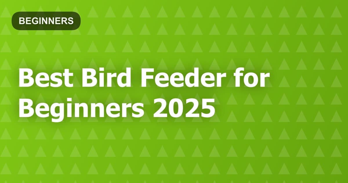 Best Bird Feeder for Beginners 2025
