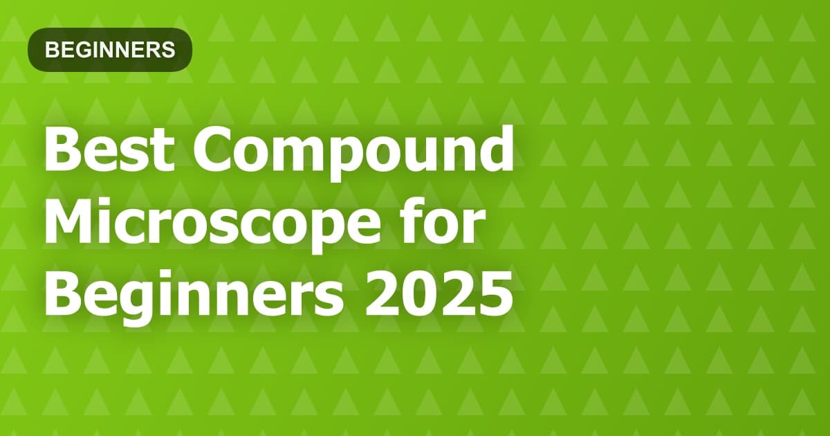 Best Compound Microscope for Beginners 2025