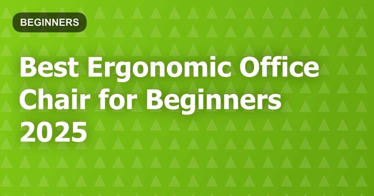 Best Ergonomic Office Chair for Beginners 2025