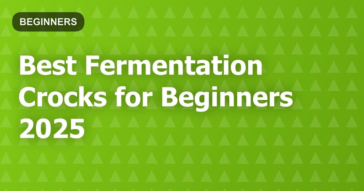 Best Fermentation Crocks for Beginners 2025