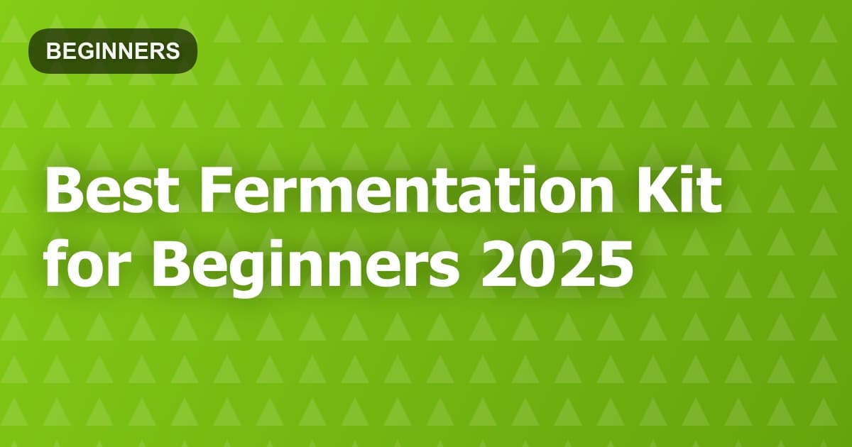 Best Fermentation Kit for Beginners 2025
