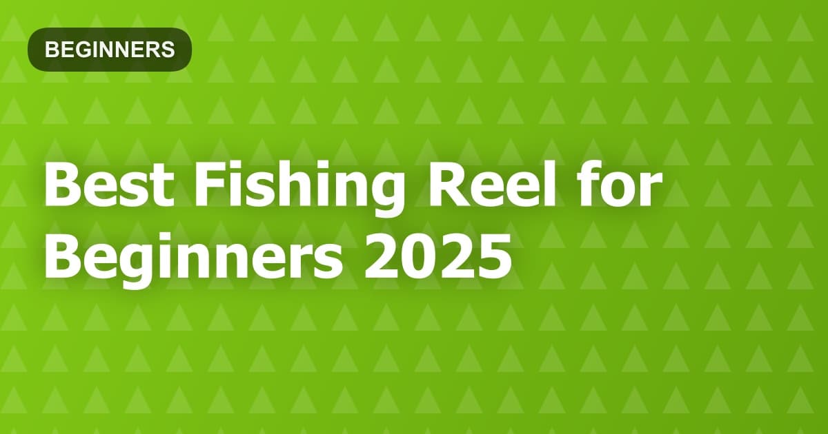 Best Fishing Reel for Beginners 2025