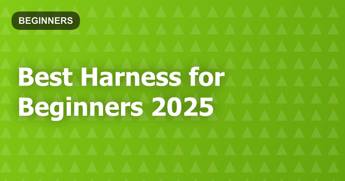 Best Harness for Beginners 2025