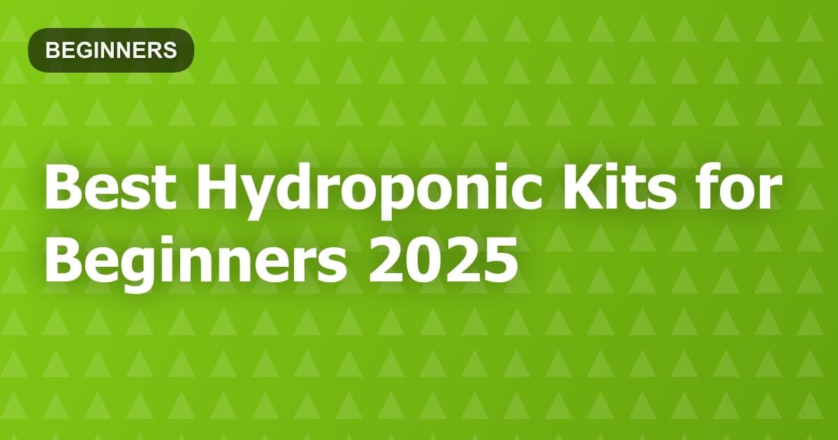 Best Hydroponic Kits for Beginners 2025