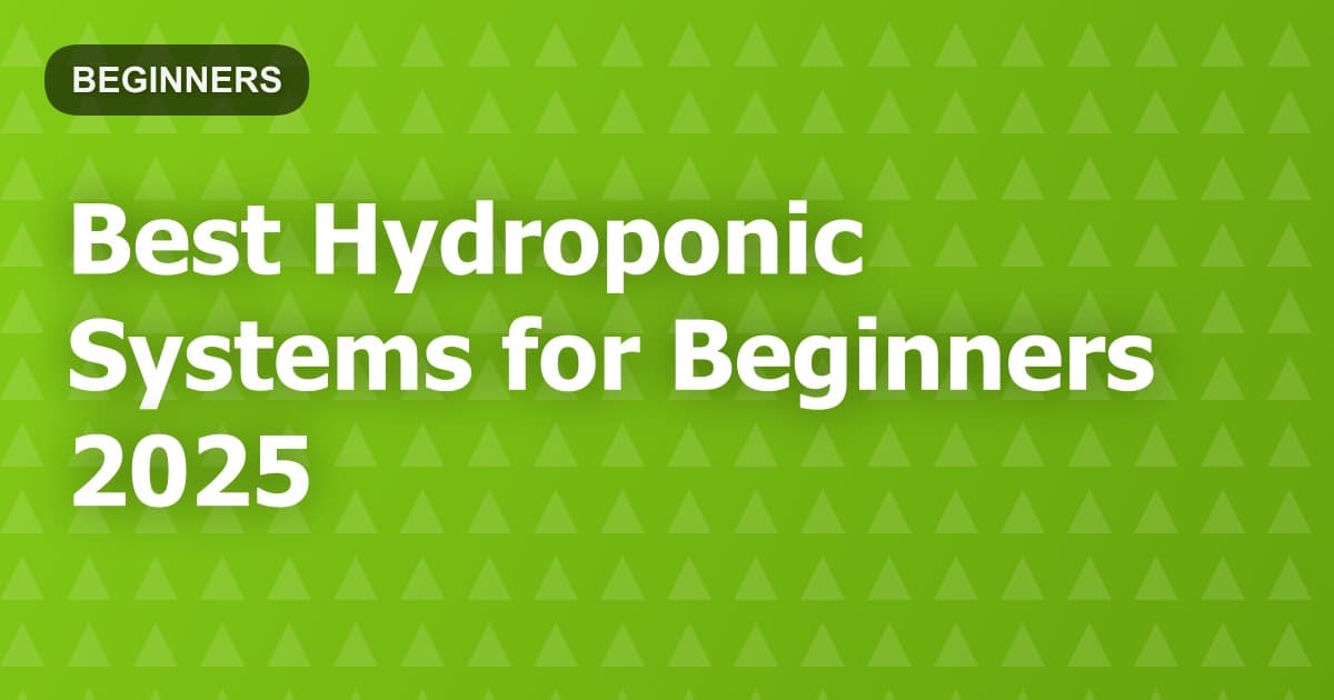 Best Hydroponic Systems for Beginners 2025
