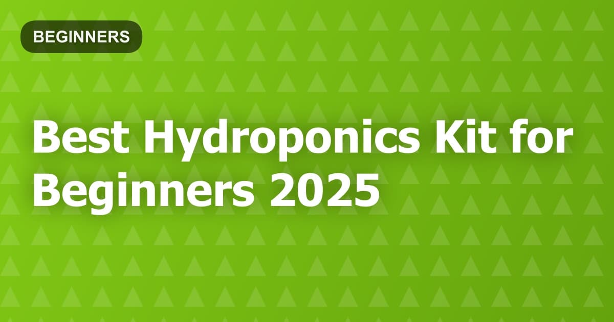 Best Hydroponics Kit for Beginners 2025