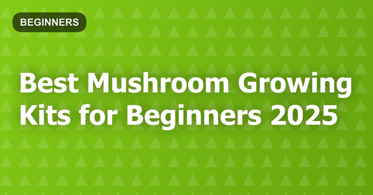Best Mushroom Growing Kits for Beginners 2025