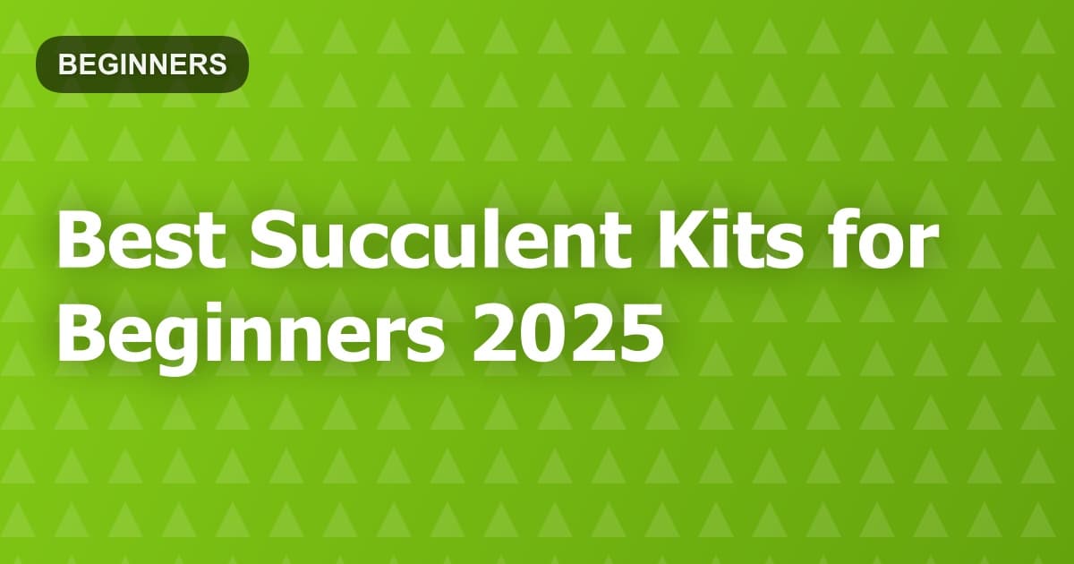 Best Succulent Kits for Beginners 2025
