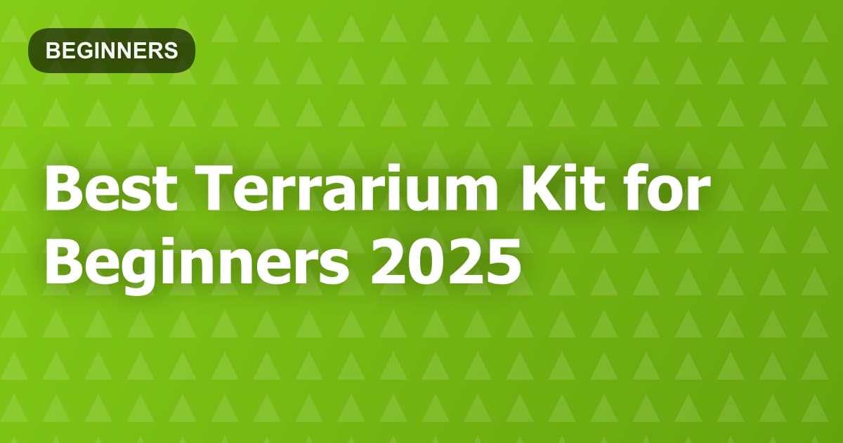 Best Terrarium Kit for Beginners 2025