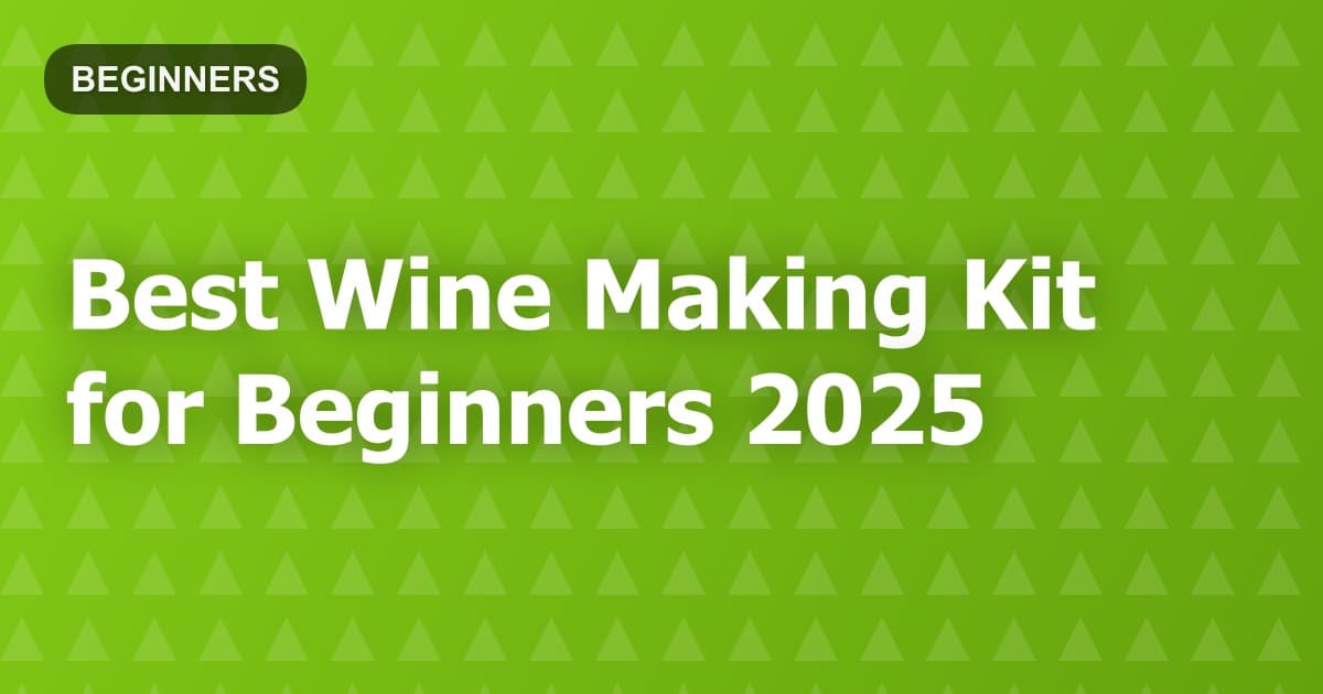 Best Wine Making Kit for Beginners 2025
