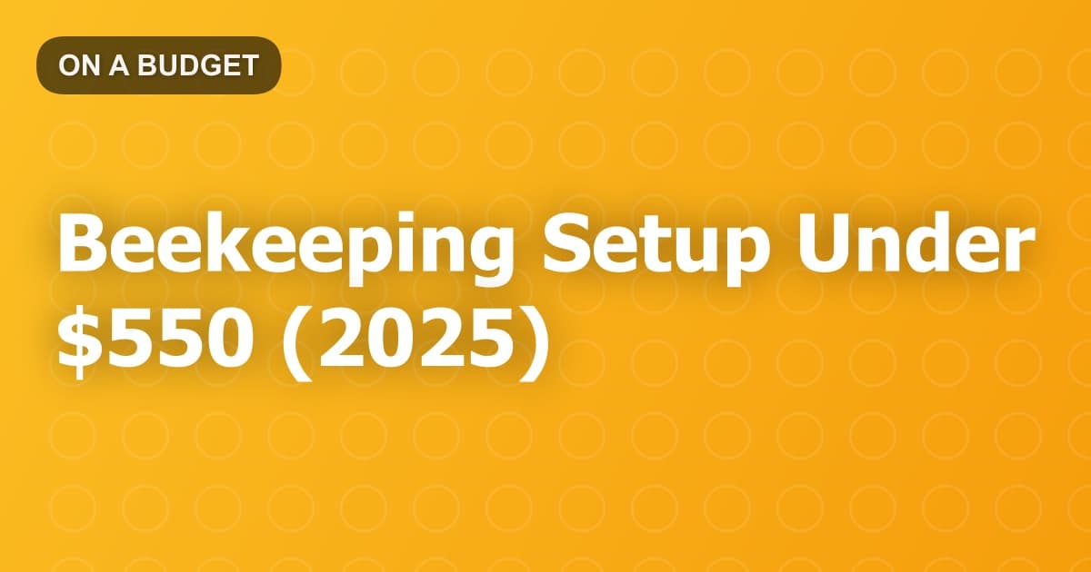 Beekeeping Setup Under $550 (2025)