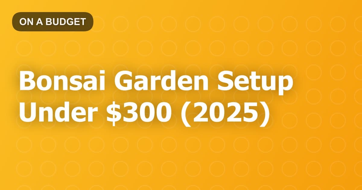 Bonsai Garden Setup Under $300 (2025)