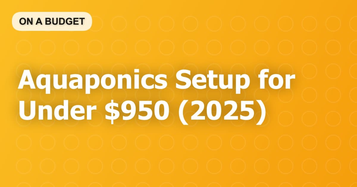 Aquaponics Setup for Under $950 (2025)