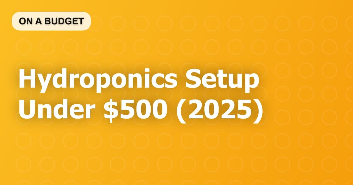 Hydroponics Setup Under $500 (2025)