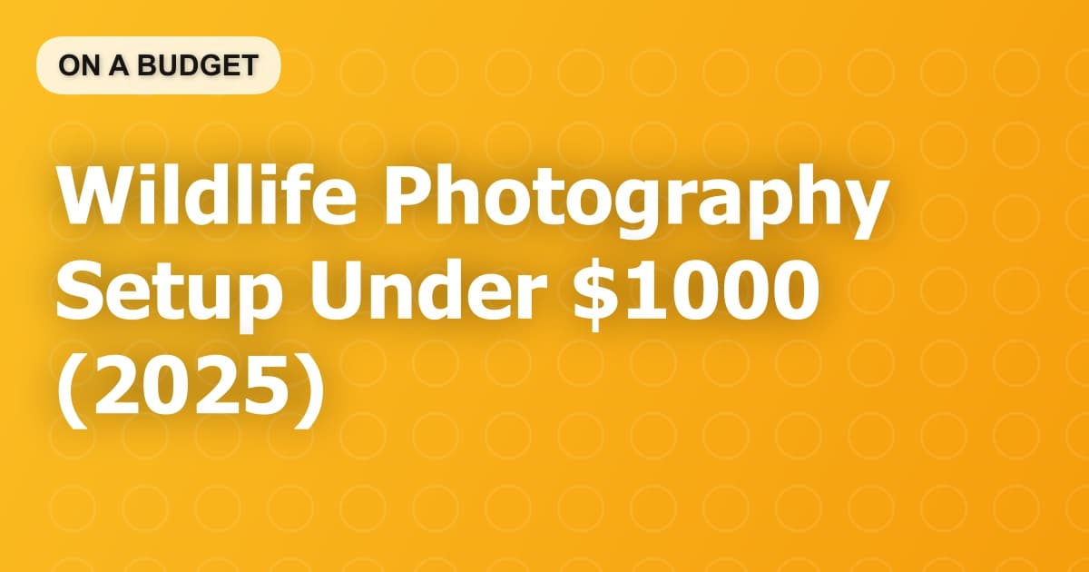 Wildlife Photography Setup Under $1000 (2025)
