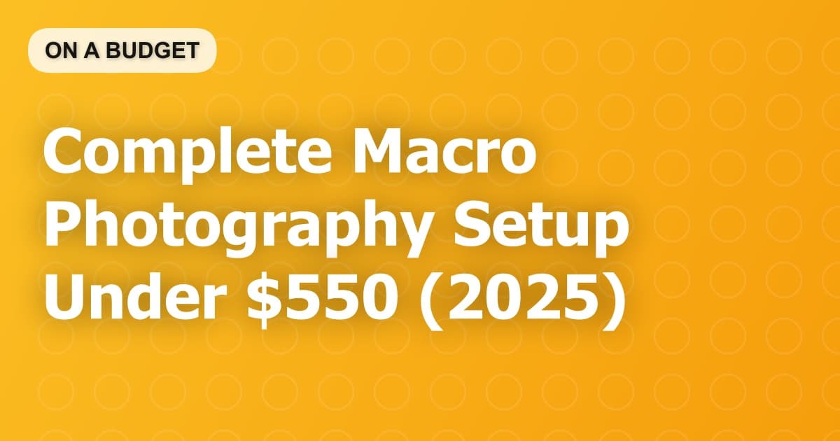 Complete Macro Photography Setup Under $550 (2025)