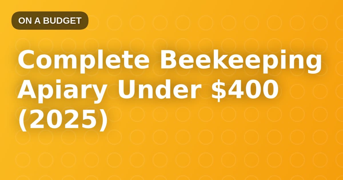 Complete Beekeeping Apiary Under $400 (2025)