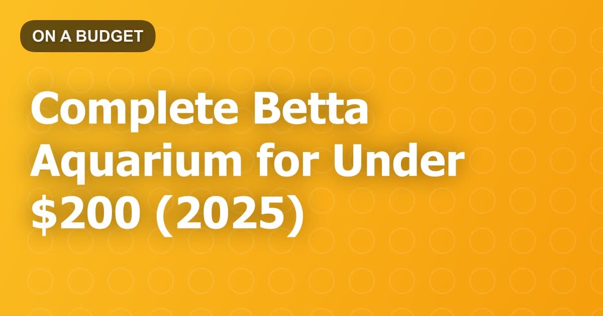 Complete Betta Aquarium for Under $200 (2025)