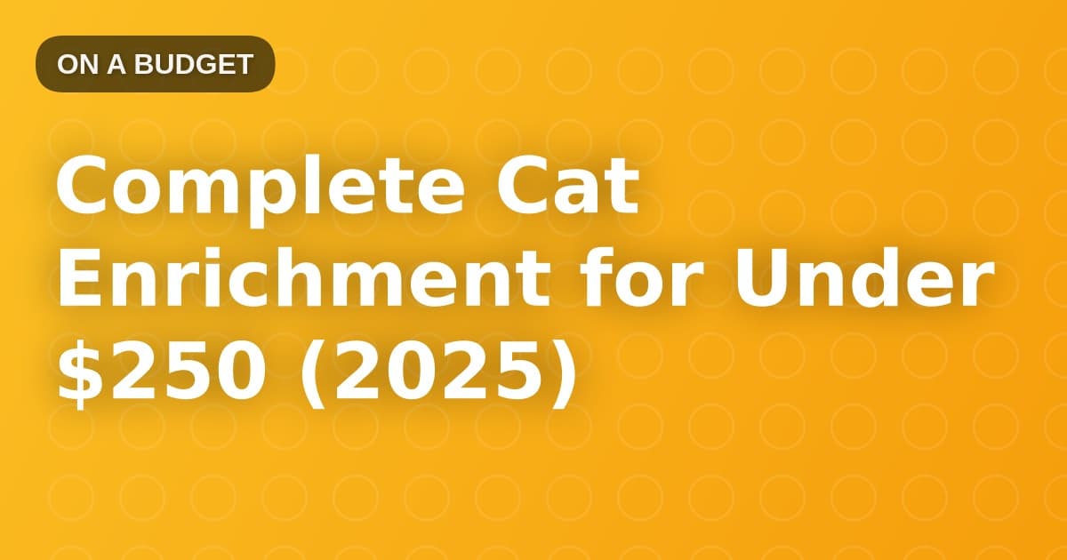 Complete Cat Enrichment for Under $250 (2025)