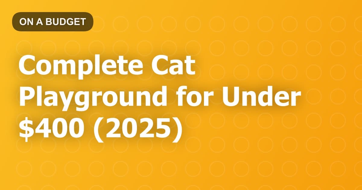 Complete Cat Playground for Under $400 (2025)