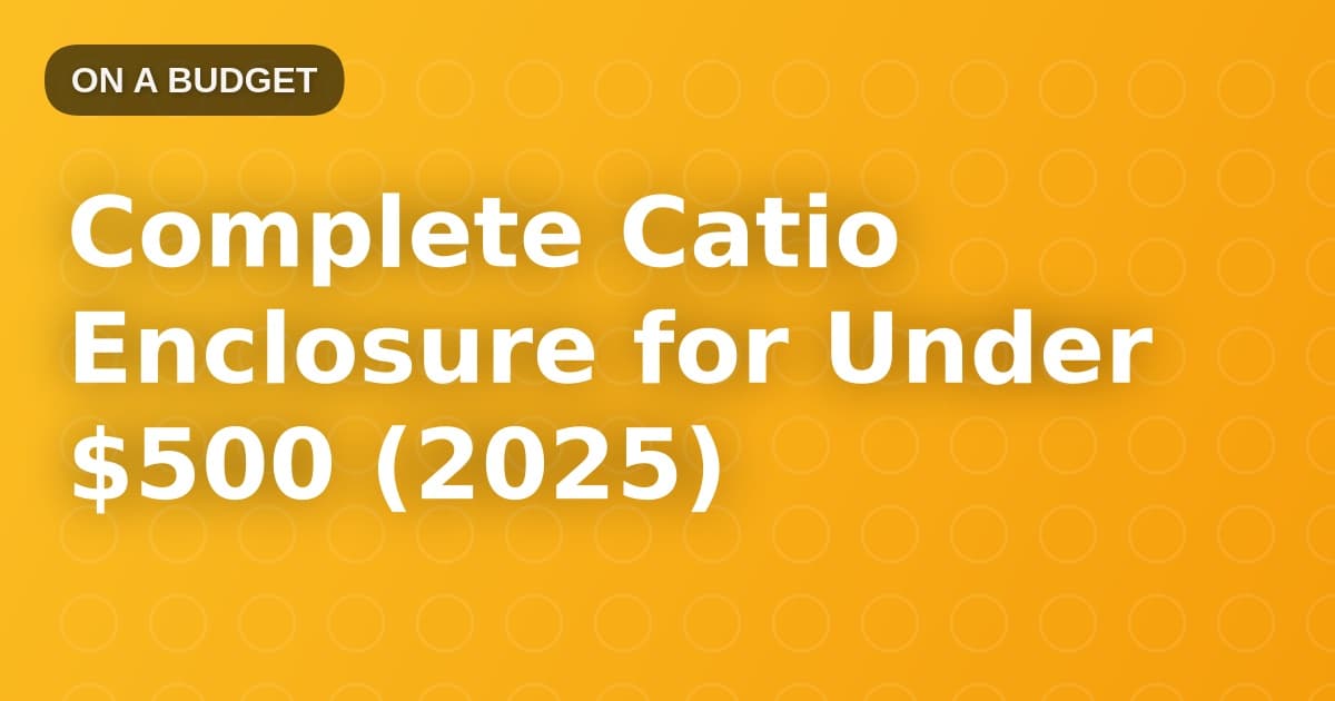 Complete Catio Enclosure for Under $500 (2025)