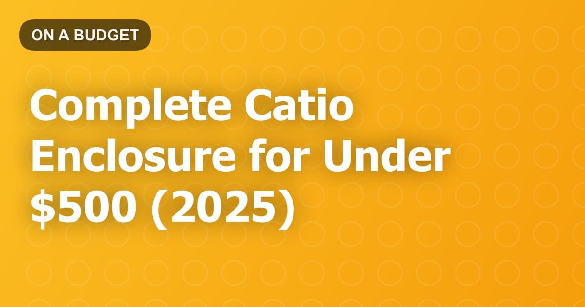 Complete Catio Enclosure for Under $500 (2025)