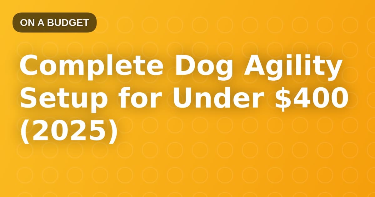 Complete Dog Agility Setup for Under $400 (2025)