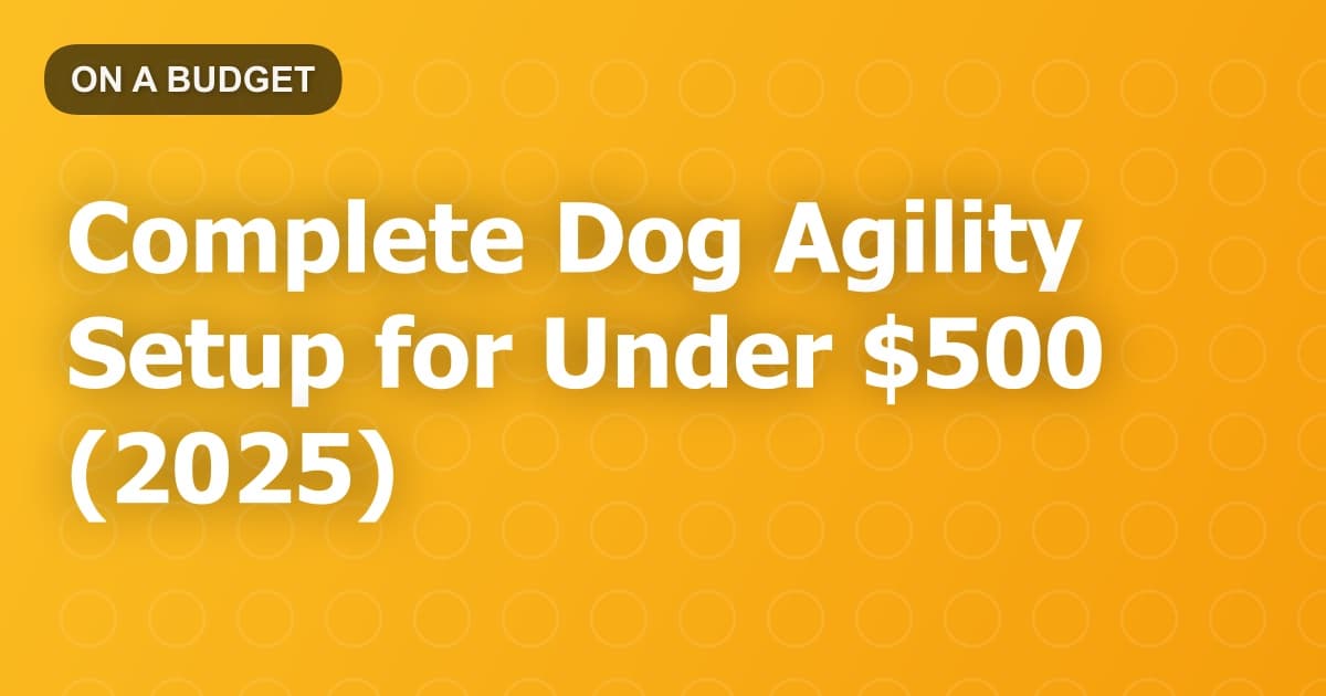 Complete Dog Agility Setup for Under $500 (2025)