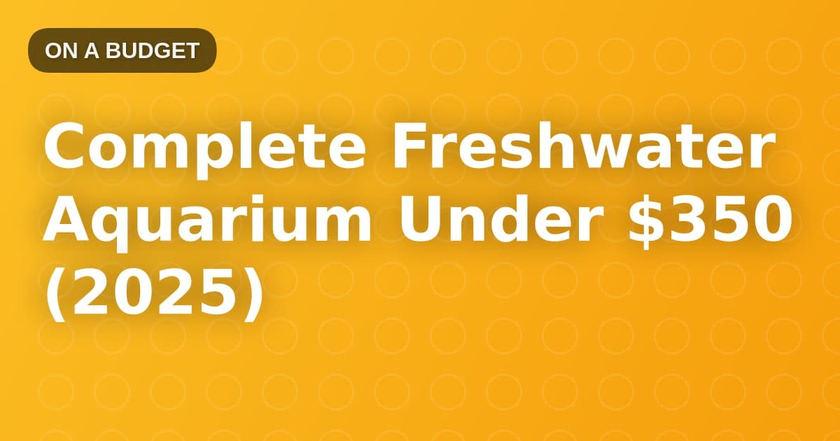 Complete Freshwater Aquarium Under $350 (2025)