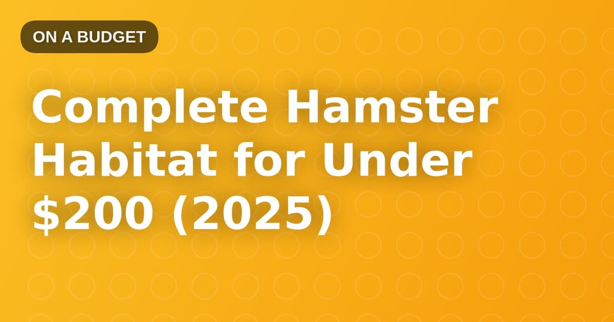 Complete Hamster Habitat for Under $200 (2025)