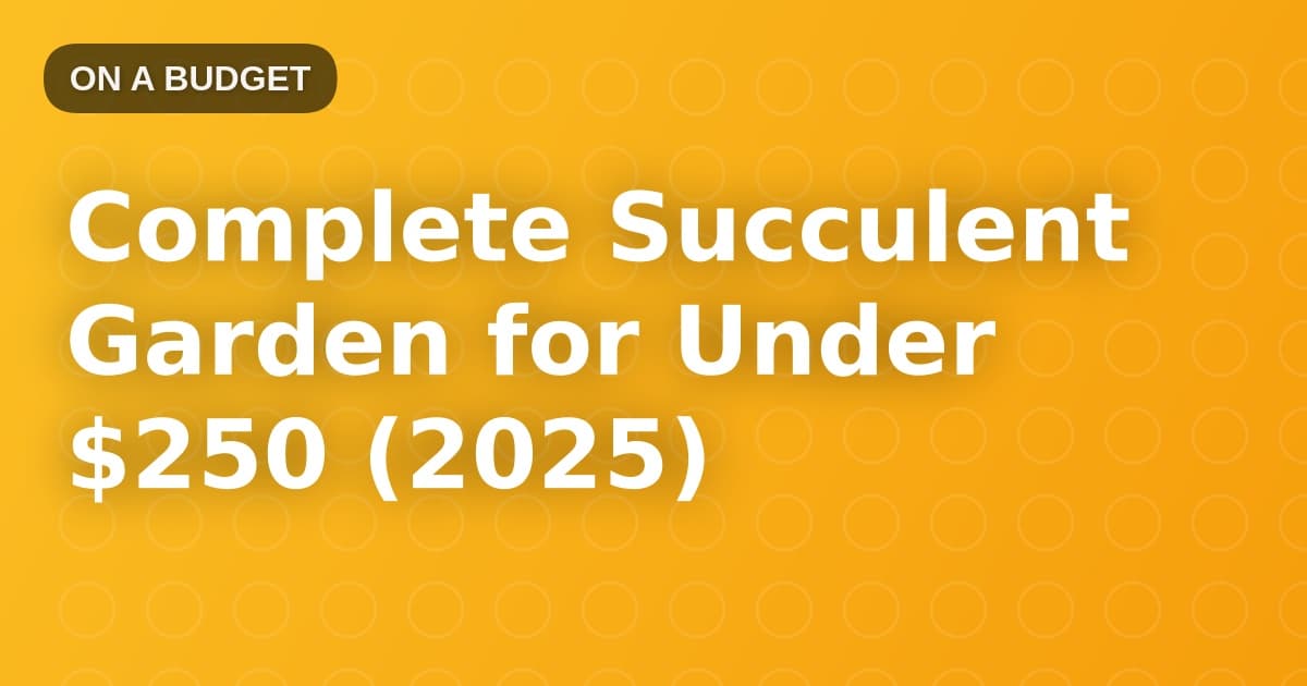Complete Succulent Garden for Under $250 (2025)