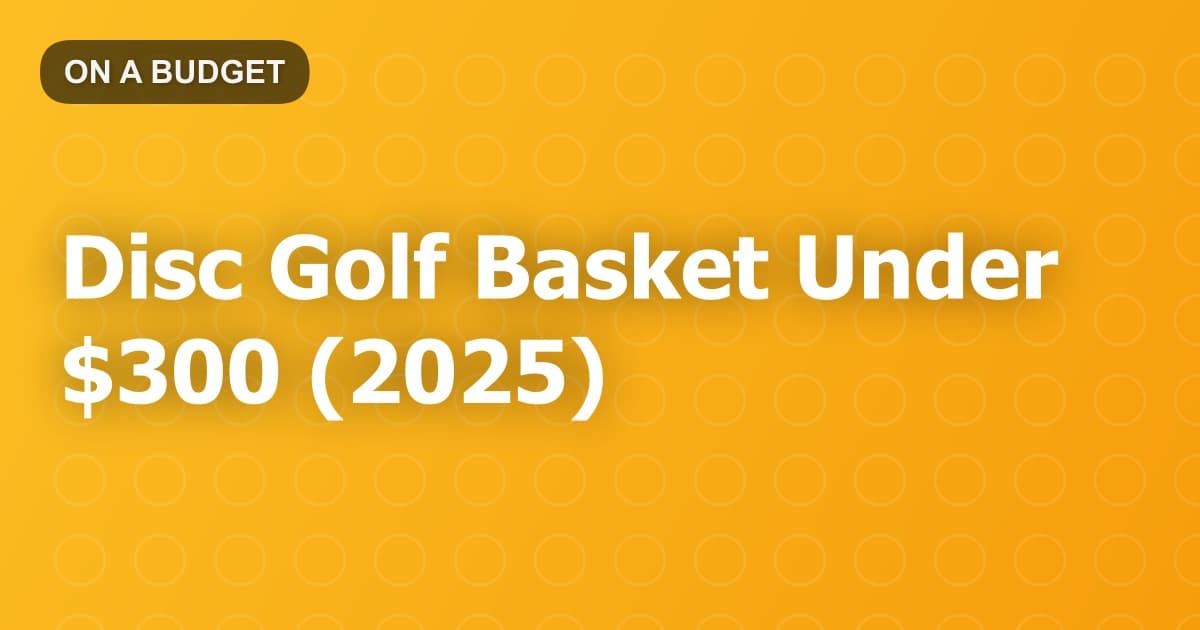 Disc Golf Basket Under $300 (2025)