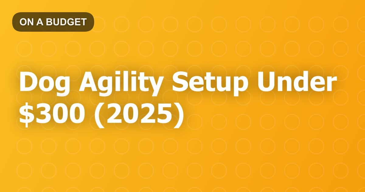 Dog Agility Setup Under $300 (2025)