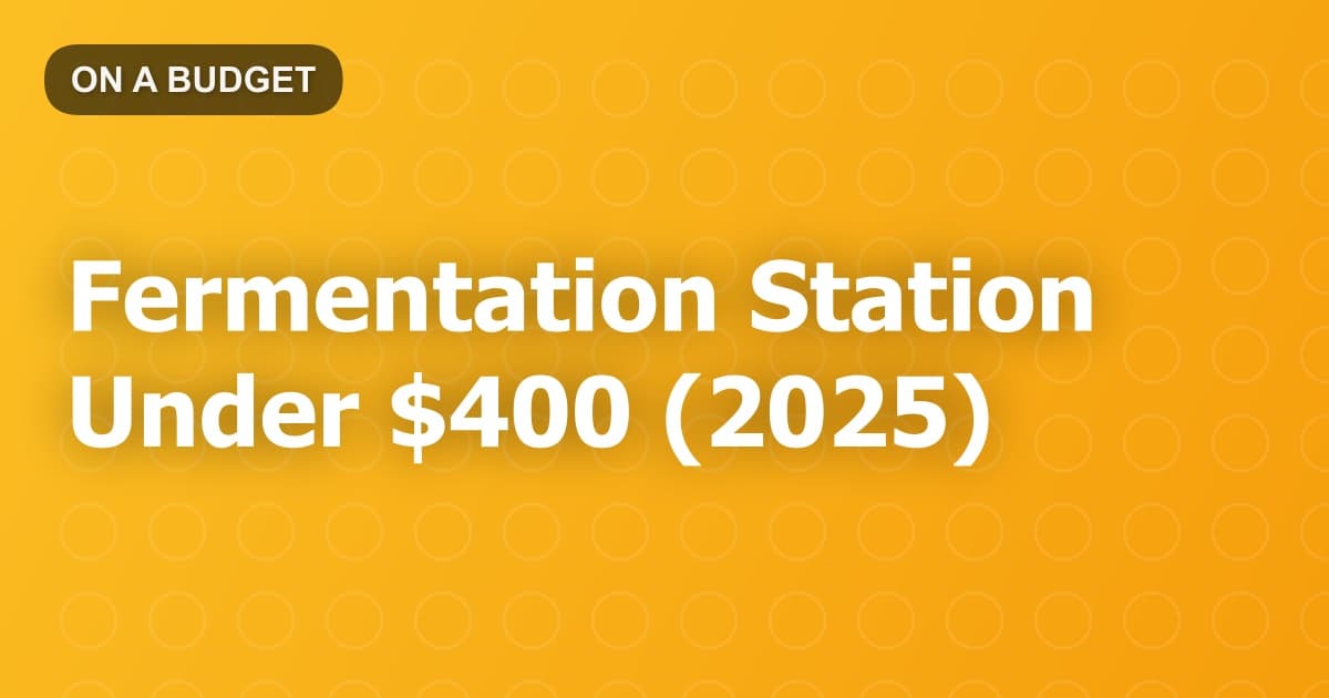 Fermentation Station Under $400 (2025)