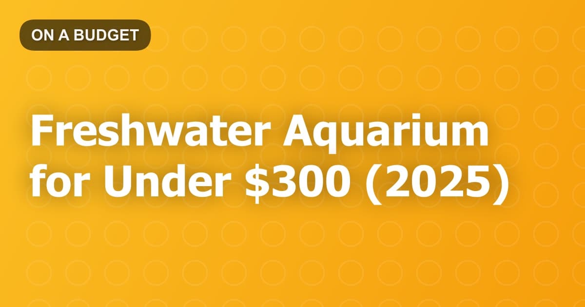 Freshwater Aquarium for Under $300 (2025)