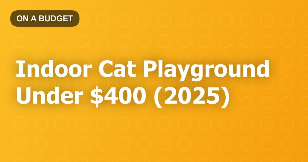 Indoor Cat Playground Under $400 (2025)
