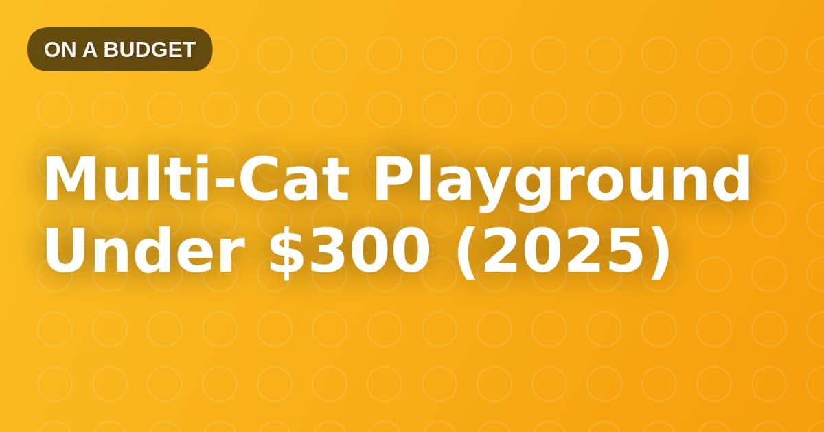 Multi-Cat Playground Under $300 (2025)