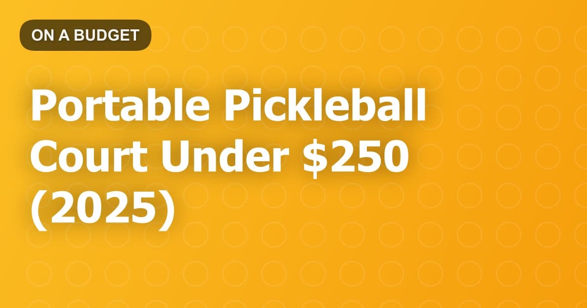 Portable Pickleball Court Under $250 (2025)