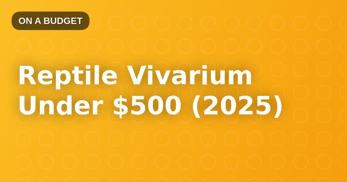 Reptile Vivarium Under $500 (2025)