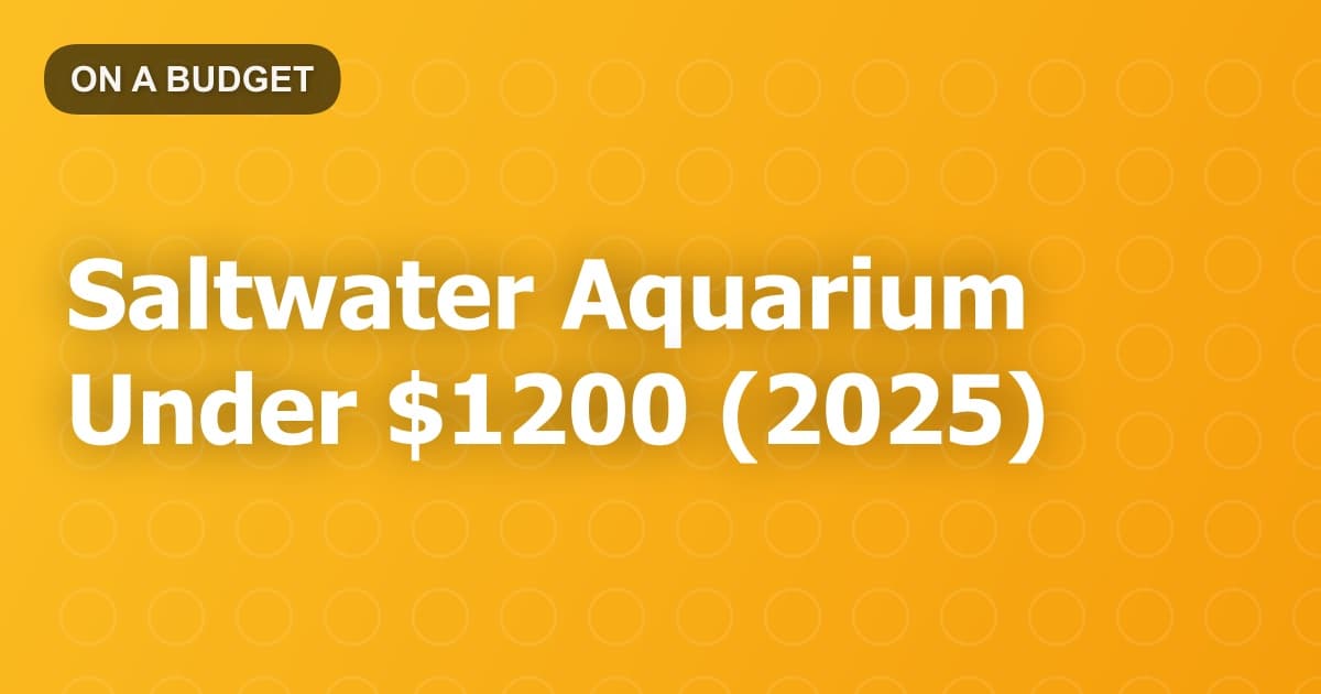 Saltwater Aquarium Under $1200 (2025)